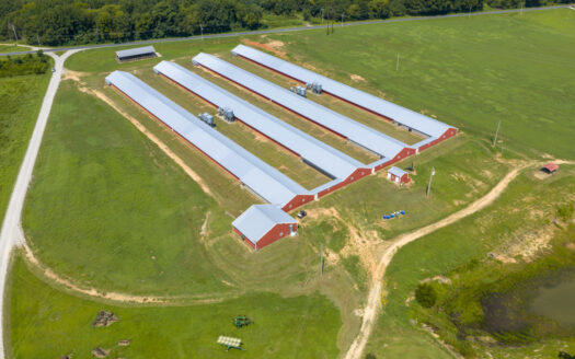 Rockingham Poultry Farm—Four 40′ × 500′ Breeder Houses