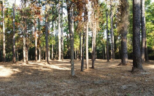 Commercial Lot for Sale in South Tyler TX Smith County Lot 7
