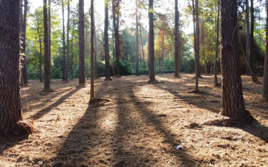 Commercial Land for Sale Tyler TX Smith County Near Grande Blvd