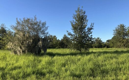 Affordable Commercial Property For Sale in Jasper, FL