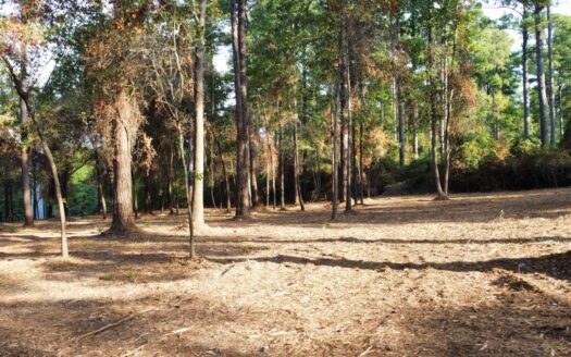 Commercial Land for Sale East Texas Tyler TX Smith County